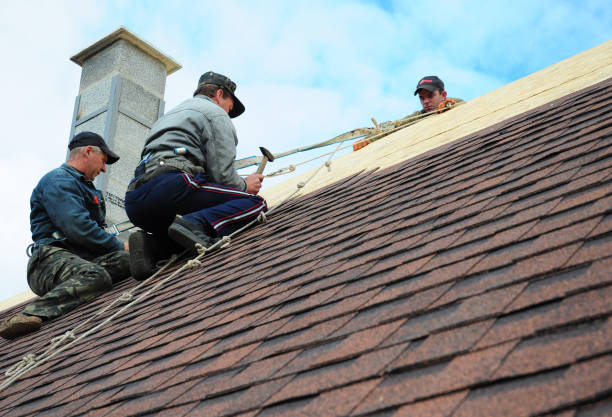 Best Roof Gutter Cleaning  in Morgantown, PA